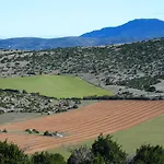Πανσιόν Mas Des Clauzals