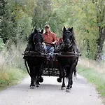 Πανσιόν Mas Des Clauzals 3*
