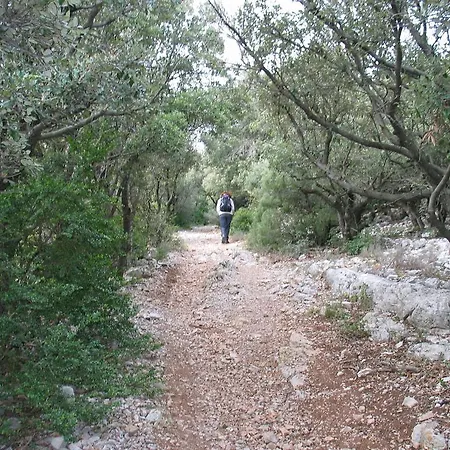Mas Des Clauzals Casa de hóspedes