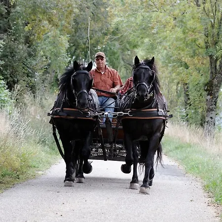 Pensionat Mas Des Clauzals 3*