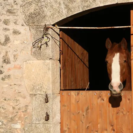 Maison d'hôtes Mas Des Clauzals 3*