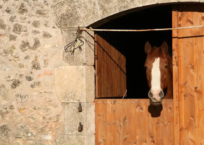 Affittacamere Mas Des Clauzals 3*